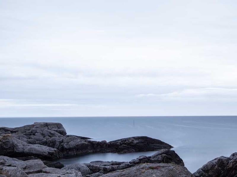 Clean Simple Eats Greens Mix